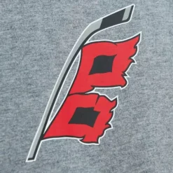 Men Mitchell & Ness T-Shirts & Tops-City Collection Ss Tee Carolina Hurricanes