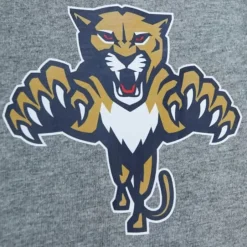 Men Mitchell & Ness T-Shirts & Tops-City Collection Ss Tee Florida Panthers