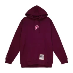 Men Mitchell & Ness Hoodies & Sweatshirts-City Hoody Philadelphia Phillies