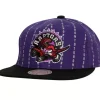 Mitchell & Ness Snapback-City Pinstripe Deadstock Hwc Toronto Raptors