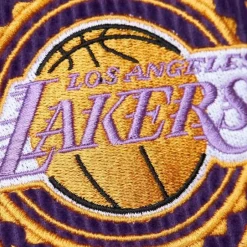 Men Mitchell & Ness Shorts-Collegiate Fashion Shorts Los Angeles Lakers