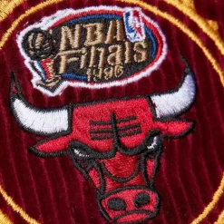 Men Mitchell & Ness Shorts-Collegiate Fashion Shorts Chicago Bulls
