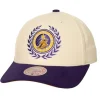 Mitchell & Ness Snapback-Collegiate Pro Snapback Los Angeles Lakers