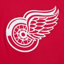 Men Mitchell & Ness T-Shirts & Tops-Color Blocked Ss Tee Detroit Red Wings