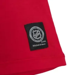 Men Mitchell & Ness T-Shirts & Tops-Color Blocked Ss Tee Detroit Red Wings