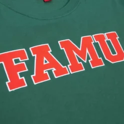 Men Mitchell & Ness T-Shirts & Tops-Color Blocked Ss Tee Florida A&M University