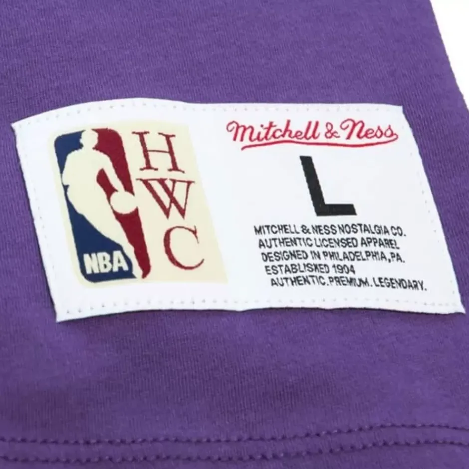 Men Mitchell & Ness T-Shirts & Tops-Color Blocked Ss Tee Los Angeles Lakers