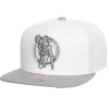 Mitchell & Ness Snapback-Cool Gray 7 Snapback Boston Celtics