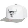 Mitchell & Ness Snapback-Cool Gray 7 Snapback Chicago Bulls