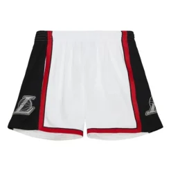 Men Mitchell & Ness Shorts-Cracked Cement Swingman Shorts Los Angeles Lakers 2009-10