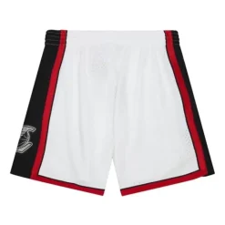Men Mitchell & Ness Shorts-Cracked Cement Swingman Shorts Los Angeles Lakers 2009-10