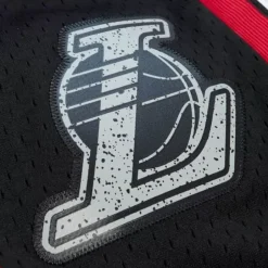 Men Mitchell & Ness Shorts-Cracked Cement Swingman Shorts Los Angeles Lakers 2009-10