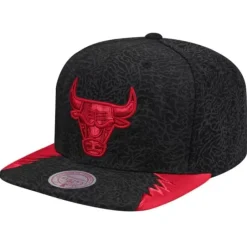 Mitchell & Ness Snapback-Day 5 Snapback Chicago Bulls