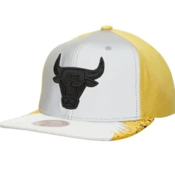 Mitchell & Ness Snapback-Day 5 Snapback Chicago Bulls