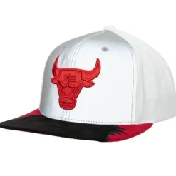 Mitchell & Ness Snapback-Day 5 Snapback Chicago Bulls