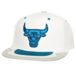 Mitchell & Ness Snapback-Day 4 Snapback Chicago Bulls