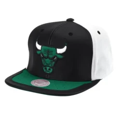 Mitchell & Ness Snapback-Day One Snapback Chicago Bulls