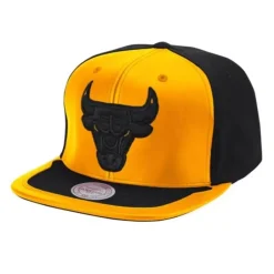 Mitchell & Ness Snapback-Day One Snapback Chicago Bulls
