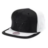 Mitchell & Ness Snapback-Day One Snapback Chicago Bulls