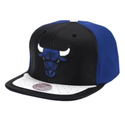Mitchell & Ness Snapback-Day One Snapback Chicago Bulls