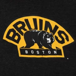 Men Mitchell & Ness Hoodies & Sweatshirts-Distressed Logo Hoody Boston Bruins