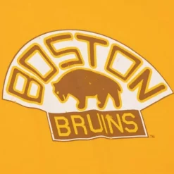Men Mitchell & Ness T-Shirts & Tops-Distressed Logo Tee Boston Bruins