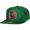 Mitchell & Ness Snapback-Down For All Snapback Hwc Boston Celtics