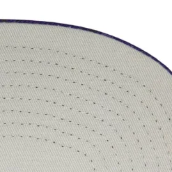 Mitchell & Ness Snapback-Down For All Snapback Hwc Toronto Raptors