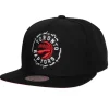 Mitchell & Ness Snapback-Embroidery Glitch Snapback Toronto Raptors