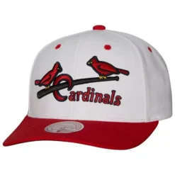 Mitchell & Ness Snapback-Evergreen Pro Snapback Coop St. Louis Cardinals