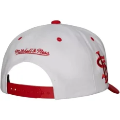 Mitchell & Ness Snapback-Evergreen Pro Snapback Coop St. Louis Cardinals