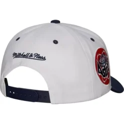 Mitchell & Ness Snapback-Evergreen Pro Snapback Coop Houston Astros