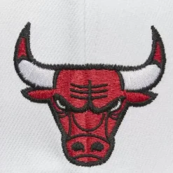 Mitchell & Ness Snapback-Fast Times Snapback Chicago Bulls