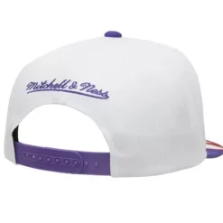 Mitchell & Ness Snapback-Fast Times Snapback Hwc Toronto Raptors