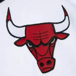 Men Mitchell & Ness Hoodies & Sweatshirts-Fusion Fleece 2.0 Chicago Bulls