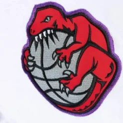 Men Mitchell & Ness Hoodies & Sweatshirts-Fusion Fleece 2.0 Toronto Raptors