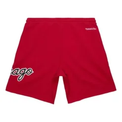 Men Mitchell & Ness Shorts-Game Day Ft Shorts Chicago Bulls