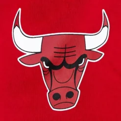 Men Mitchell & Ness Shorts-Game Day Ft Shorts Chicago Bulls