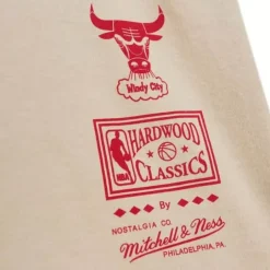 Men Mitchell & Ness T-Shirts & Tops-Game Day Pattern Tee Chicago Bulls