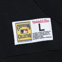 Men Mitchell & Ness Hoodies & Sweatshirts-Game Time Fleece Hoodie Vintage Logo Los Angeles Dodgers
