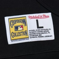 Men Mitchell & Ness Hoodies & Sweatshirts-Game Time Fleece Hoodie Vintage Logo St. Louis Cardinals