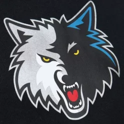 Men Mitchell & Ness Hoodies & Sweatshirts-Game Time Fleece Hoodie Vintage Logo Minnesota Timberwolves