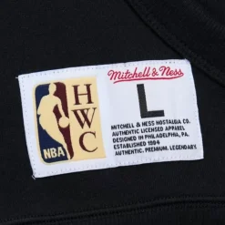 Men Mitchell & Ness Hoodies & Sweatshirts-Game Time Fleece Hoodie Vintage Logo Charlotte Hornets