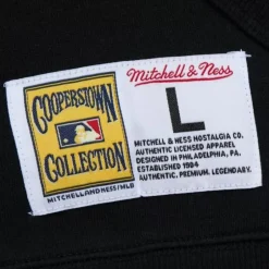 Men Mitchell & Ness Hoodies & Sweatshirts-Game Time Fleece Hoodie Vintage Logo Detroit Tigers