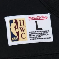 Men Mitchell & Ness Hoodies & Sweatshirts-Game Time Fleece Hoodie Vintage Logo Detroit Pistons