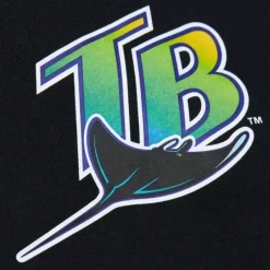 Men Mitchell & Ness Hoodies & Sweatshirts-Game Time Fleece Hoodie Vintage Logo Tampa Bay Rays