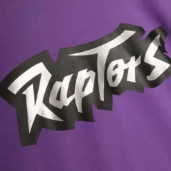 Men Mitchell & Ness T-Shirts & Tops-Gameday Ss Ft Hoodie Toronto Raptors