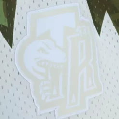 Men Mitchell & Ness Shorts-Ghost Green Camo Swingman Toronto Raptors 1998-99 Shorts