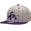 Mitchell & Ness Snapback-Grey Pin Pop Snapback Hwc Toronto Raptors