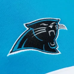 Men Mitchell & Ness Hoodies & Sweatshirts-Head Coach Hoodie Carolina Panthers